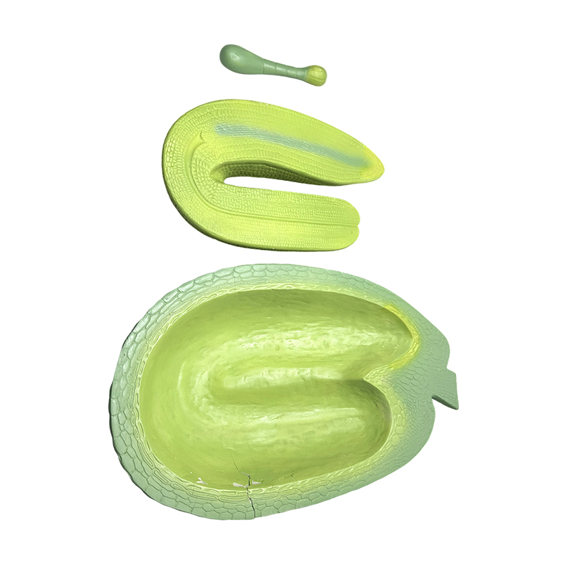 Professionel uddannelse model Shepherd's pung embryo udviklingsmodel Plant model Junior high school biologisk videnskab uddannelse ansøgning