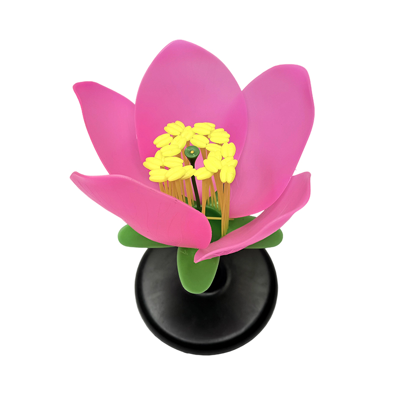 Anatomisk model til skoleundervisning af ferskenblomstermodel