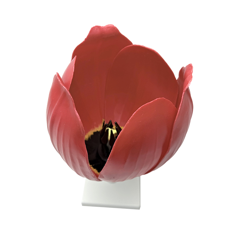 Skole underviser i yujin duftende blomstermodel