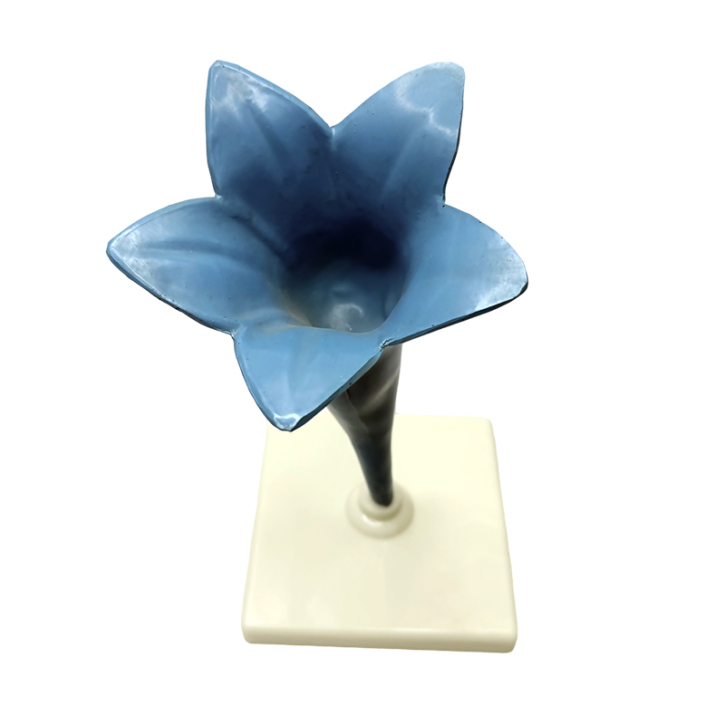 Skolen underviser i yujin duftende blomstermodel