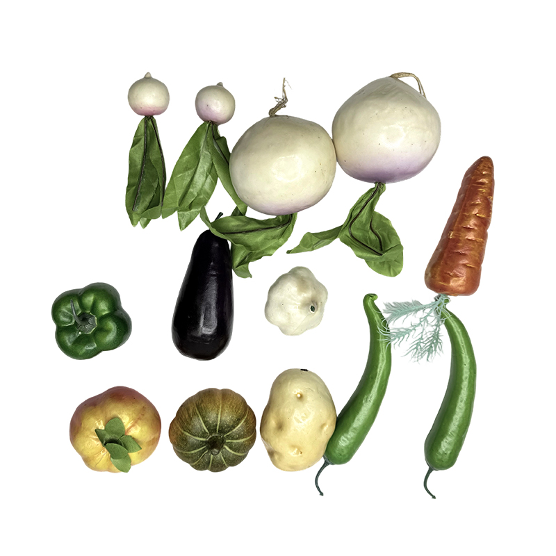 Pædagogisk udstyr undervisning simulation vegetabilske ornamenter