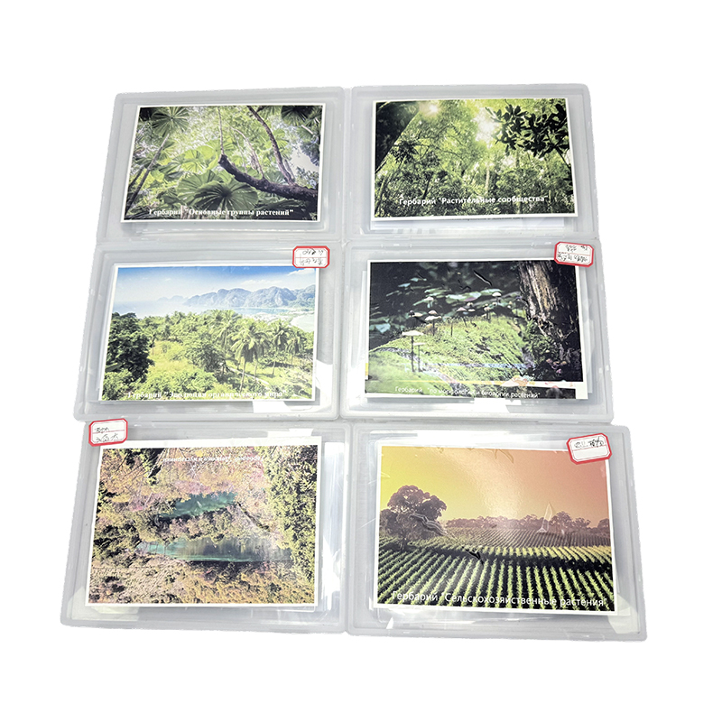 Herbarium